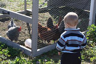 Christmas on the Farm