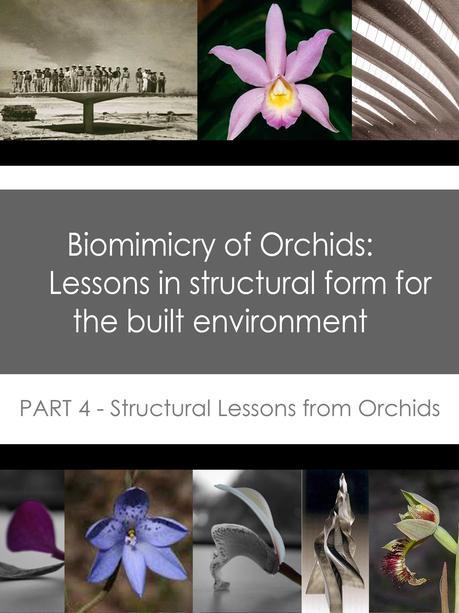 Biomimicry of Orchids – PART 4 – Structural lessons from Orchid