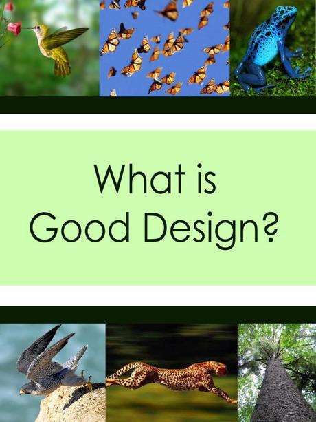 Good design must at a minimum be design for purpose. Every aspect should create a holistic design.