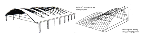 Biomimicry of Orchids: Structural Efficiency & Structural Artists - Part 3