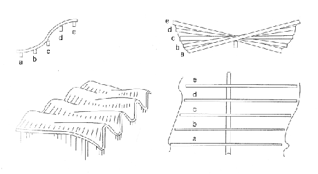 Biomimicry of Orchids: Structural Efficiency & Structural Artists - Part 3