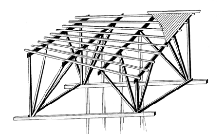 Biomimicry of Orchids: Structural Efficiency & Structural Artists - Part 3