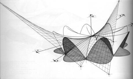 Biomimicry of Orchids: Structural Efficiency & Structural Artists - Part 3