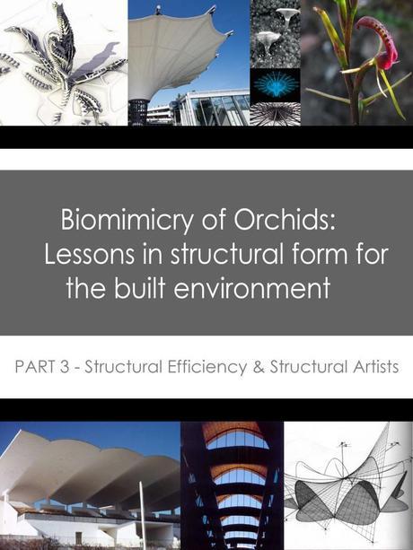 Learning from nature - Biomimicry - is not new to Architecture, in fact many of the best architects in history have learnt a great deal from the forms of Nature. Shell structures for example. 