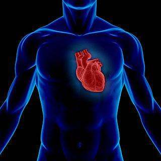 Ten Reasons Why You Will Fall For Med students / Doctors: