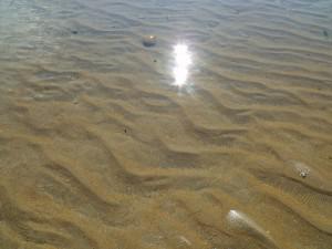 Sun, weather, St Andrews, East Sands, Beach, Paddling