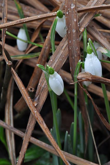 A Winter's technical hitch