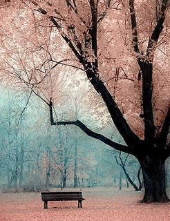 7 Pretty Things on Sunday