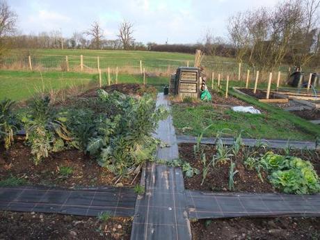 The Allotment Year – January 2012