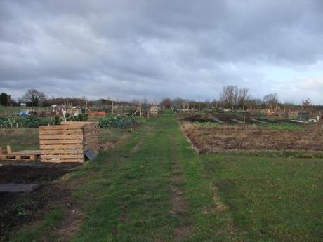 The Allotment Year – January 2012