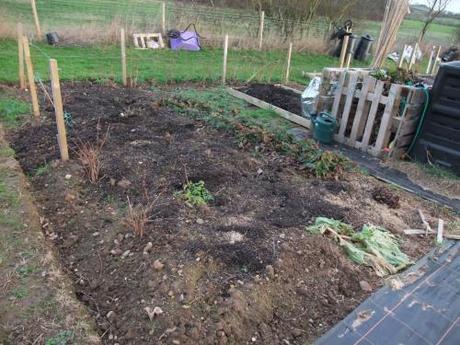 The Allotment Year – January 2012