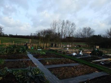 The Allotment Year – January 2012