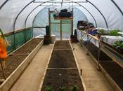 Polytunnel Views, Planting .... Live Below Line