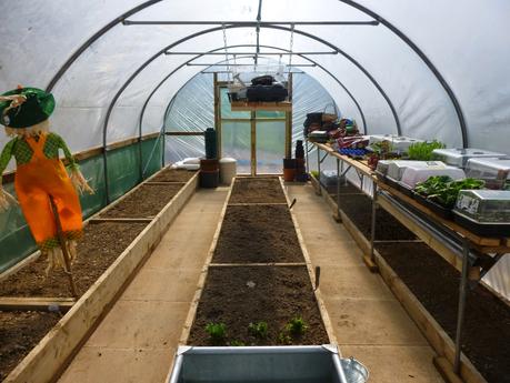 Polytunnel Views, Planting .... and Live Below the Line