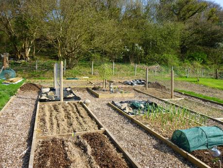 Polytunnel Views, Planting .... and Live Below the Line