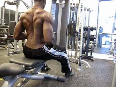 Back Exercises