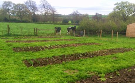 PSB and progress on the plot