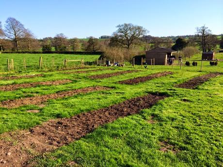 PSB and progress on the plot