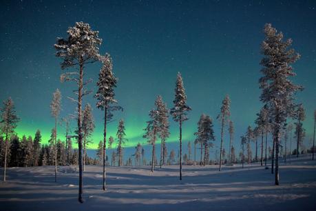 Aurora borealis over frozen forest in Sweden. Not a common sight in south Wales. Image by Antony Spencer