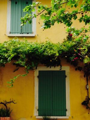 Spring Color in Provence