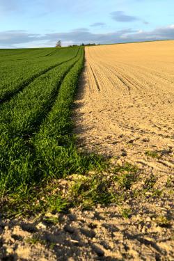 Swiss flatlands: the unexpected DSC_0359