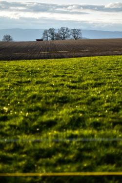 Swiss flatlands: the unexpected DSC_0330
