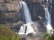 Among Those Visually Splendid Sculptures Nature, Athirapally
