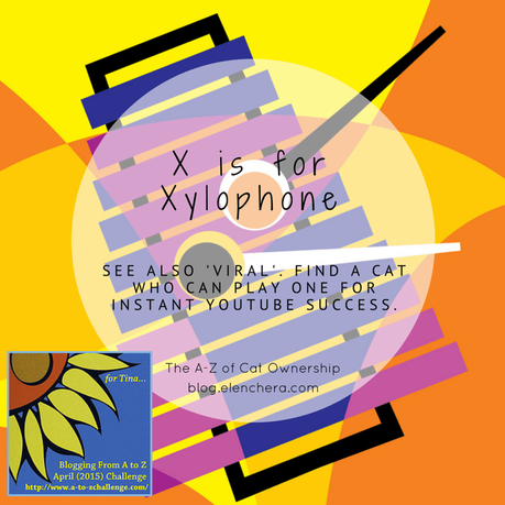 A-Z of Cats: X is for Xylophone (#AtoZChallenge)