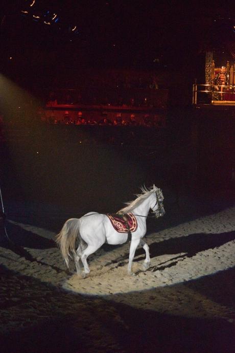 Jousting with Margaritas to Celebrate my Hubby's Birthday