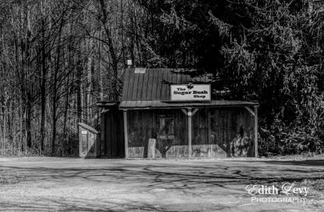 Toronto, Kortright Center, conservation center, nature, black and white photography