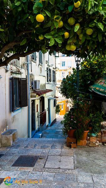 How to See Corfu / Kerkyra in One Day