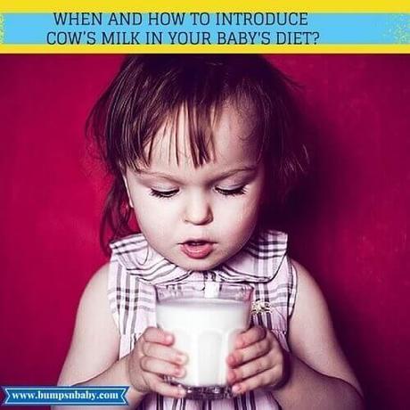 How To Introduce Cow’s Milk for Babies? How To Introduce Cow’s Milk for Babies?