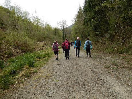 Tintern and Beyond