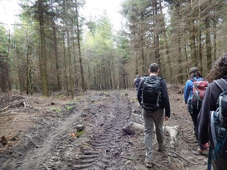 Tintern and Beyond