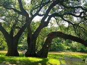 Home Again (For Little While Anyway!)