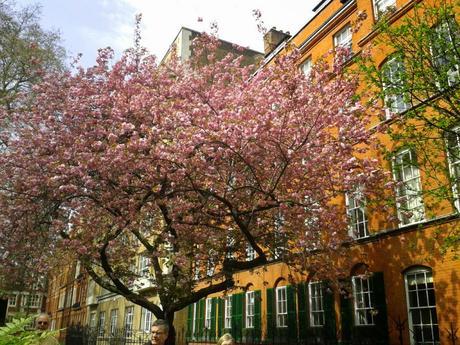 Springtime In Mayfair