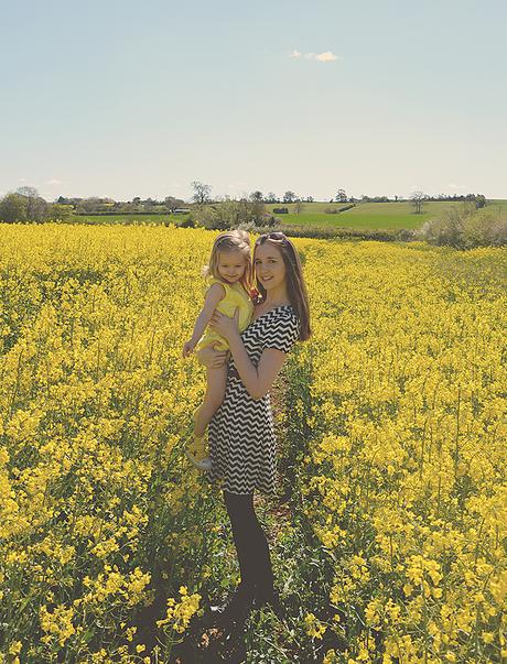 Yellow Fields & More Longleat!