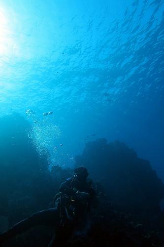 Best Diving Locations In Australia