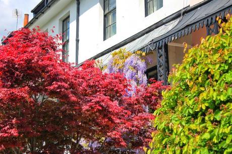 Another Busy #London Thursday