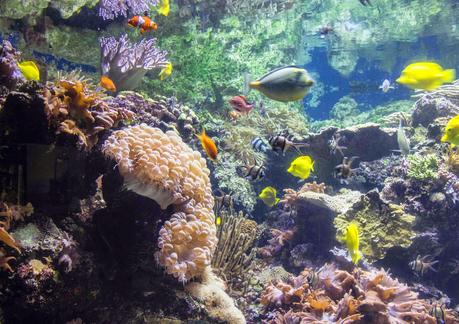 Spring Trip 1   [Orange You Glad It’s Friday]