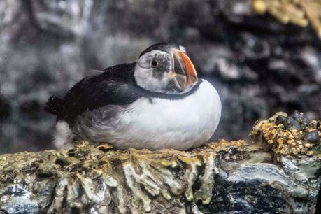 Spring Trip 1   [Orange You Glad It’s Friday]