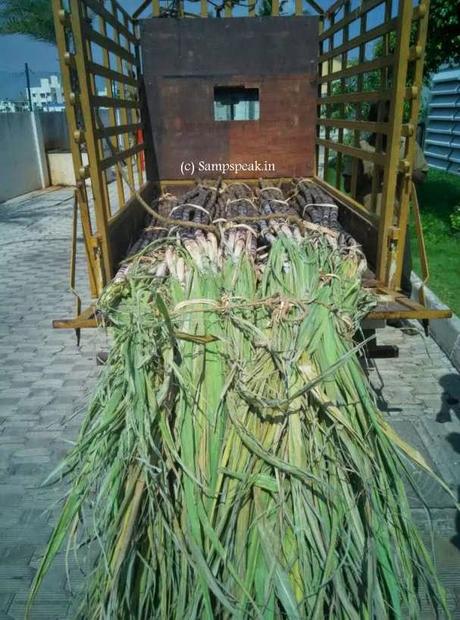 India hikes import on sugar ~ scraps Excise duty on ethanol made from molasses