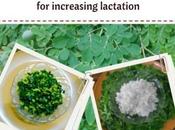 Drumstick Moringa Leaves Stir Boost Lactation