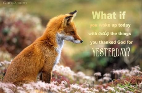 importance of gratitude