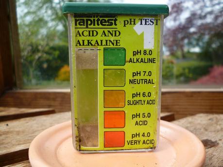 What Type of Soil Does My Garden Have?