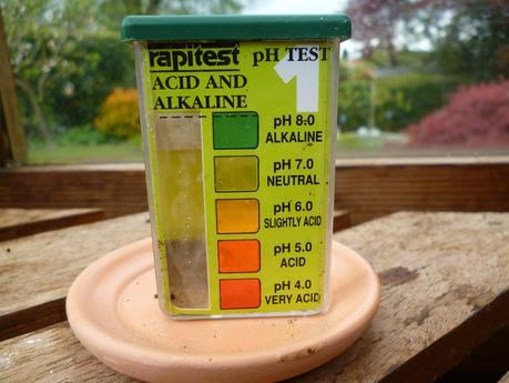 What Type of Soil Does My Garden Have?