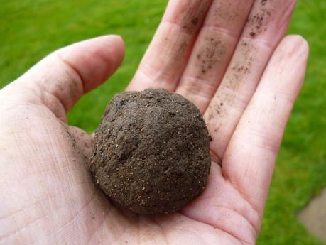 analysing your garden soil