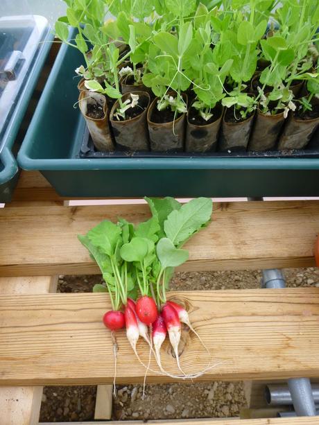 Live Below the Line - Day 5 - Confession Time