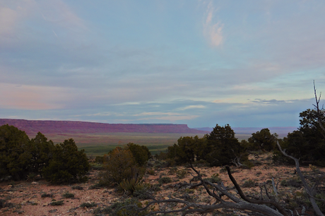 Day 40: Leaving For The Grand Canyon