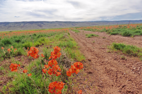 Day 40: Leaving For The Grand Canyon